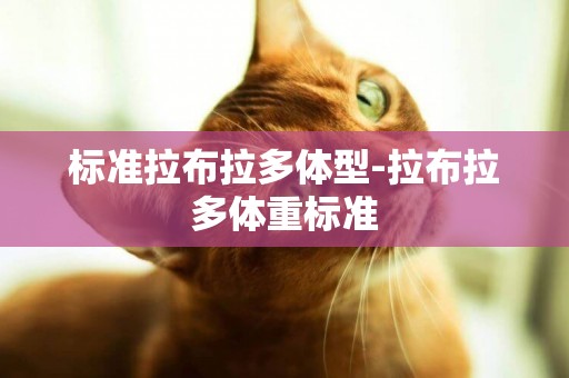 標準拉布拉多體型-拉布拉多體重標準