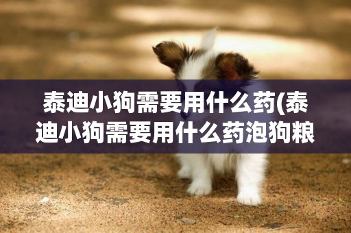 泰迪小狗需要用什么藥(泰迪小狗需要用什么藥泡狗糧)