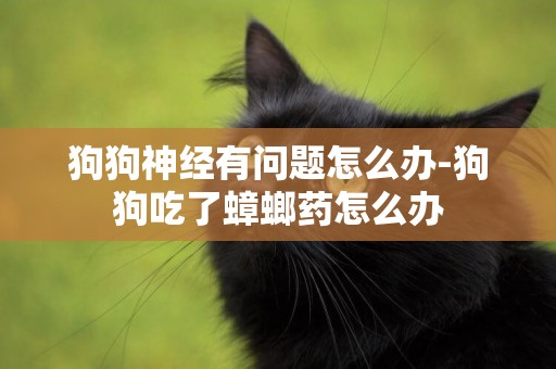 狗狗神經有問題怎么辦-狗狗吃了蟑螂藥怎么辦
