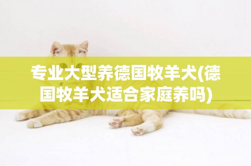 專業大型養德國牧羊犬(德國牧羊犬適合家庭養嗎)