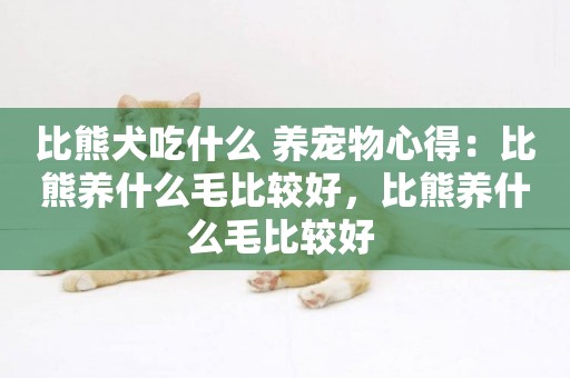 比熊犬吃什么 養寵物心得：比熊養什么毛比較好，比熊養什么毛比較好 
