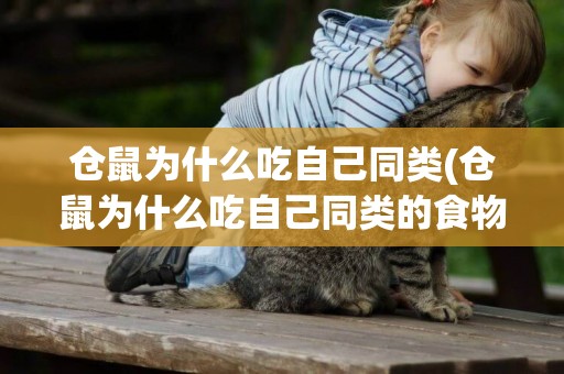 倉鼠為什么吃自己同類(倉鼠為什么吃自己同類的食物)