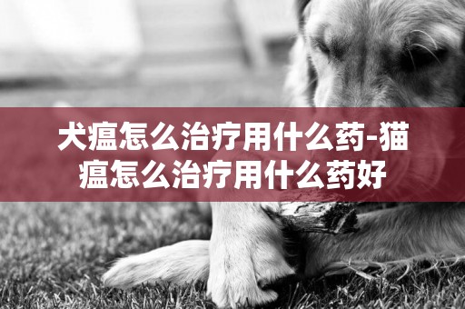 犬瘟怎么治療用什么藥-貓瘟怎么治療用什么藥好