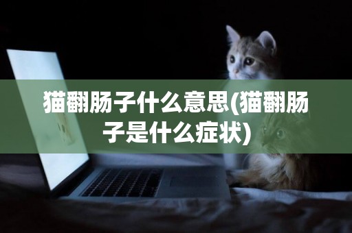 貓翻腸子什么意思(貓翻腸子是什么癥狀)