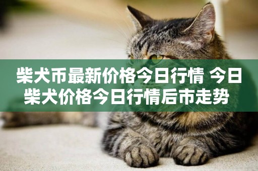 柴犬幣最新價格今日行情 今日柴犬價格今日行情后市走勢 