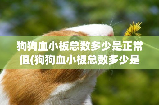 狗狗血小板總數多少是正常值(狗狗血小板總數多少是正常值的)