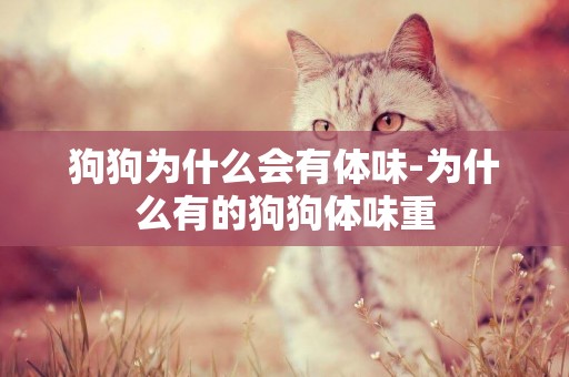 狗狗為什么會有體味-為什么有的狗狗體味重