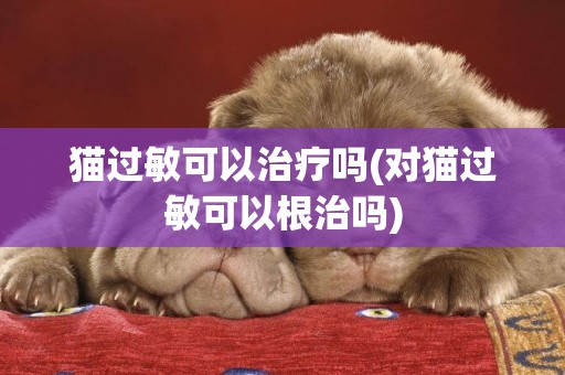 貓過敏可以治療嗎(對貓過敏可以根治嗎)