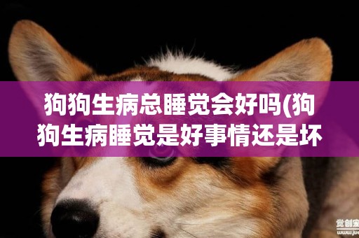 狗狗生病總睡覺會好嗎(狗狗生病睡覺是好事情還是壞事情)