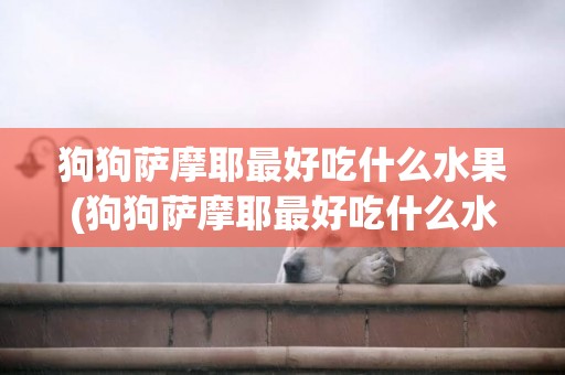 狗狗薩摩耶最好吃什么水果(狗狗薩摩耶最好吃什么水果和蔬菜)