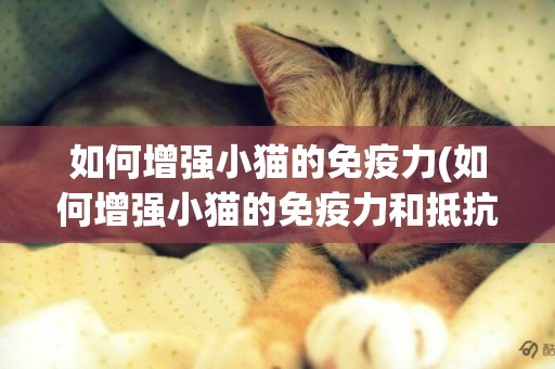如何增強小貓的免疫力(如何增強小貓的免疫力和抵抗力)