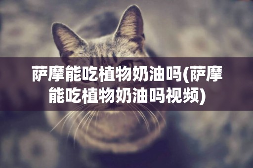 薩摩能吃植物奶油嗎(薩摩能吃植物奶油嗎視頻)