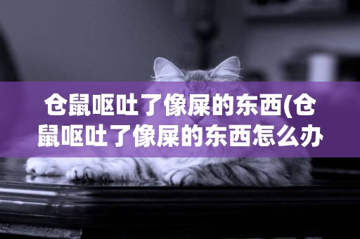 倉鼠嘔吐了像屎的東西(倉鼠嘔吐了像屎的東西怎么辦)