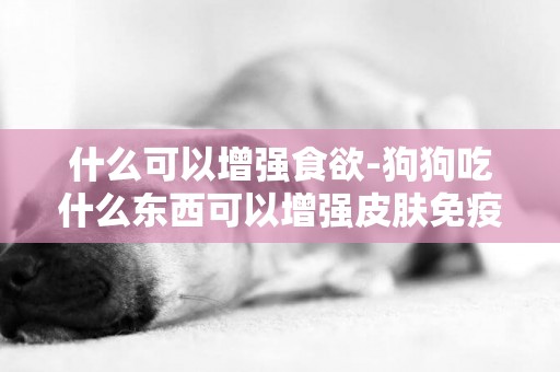 什么可以增強食欲-狗狗吃什么東西可以增強皮膚免疫力