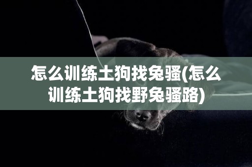 怎么訓練土狗找兔騷(怎么訓練土狗找野兔騷路)