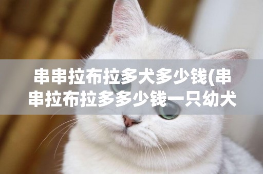 串串拉布拉多犬多少錢(串串拉布拉多多少錢一只幼犬)