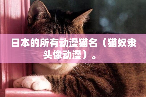日本的所有動漫貓名（貓奴隸頭像動漫）。 