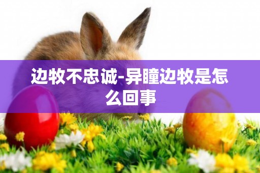 邊牧不忠誠-異瞳邊牧是怎么回事