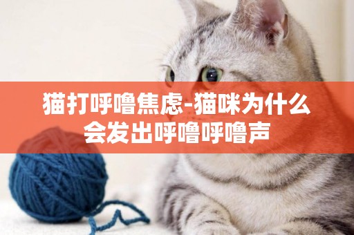 貓打呼嚕焦慮-貓咪為什么會發出呼嚕呼嚕聲