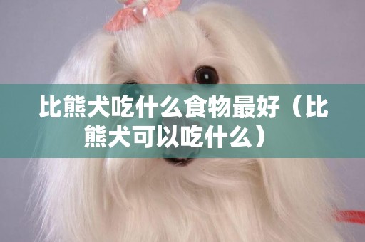 比熊犬吃什么食物最好（比熊犬可以吃什么） 