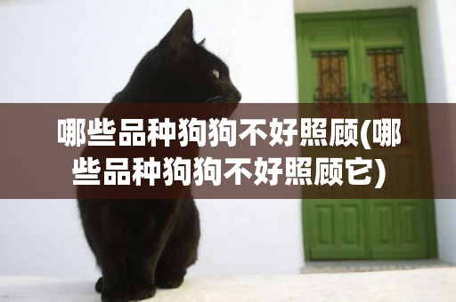 哪些品種狗狗不好照顧(哪些品種狗狗不好照顧它)