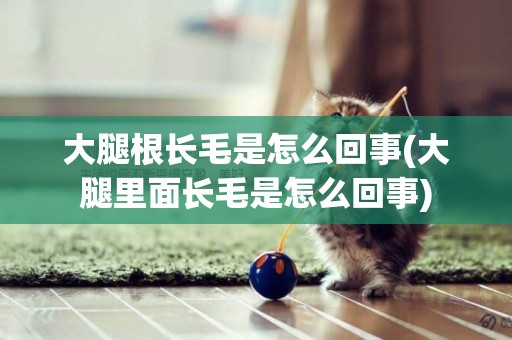 大腿根長毛是怎么回事(大腿里面長毛是怎么回事)
