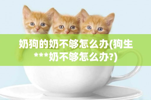 奶狗的奶不夠怎么辦(狗生***奶不夠怎么辦?)