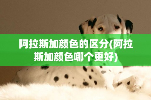 阿拉斯加顏色的區分(阿拉斯加顏色哪個更好)