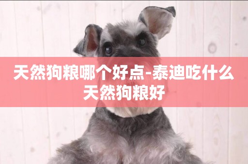 天然狗糧哪個好點-泰迪吃什么天然狗糧好