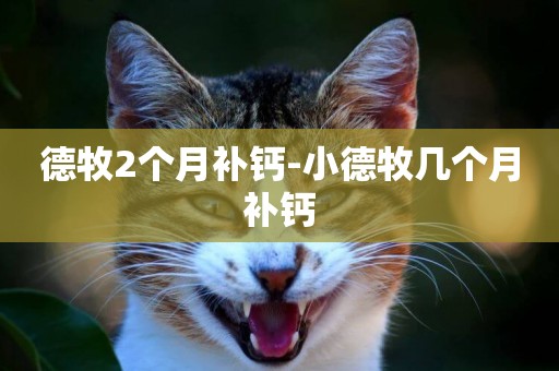 德牧2個月補鈣-小德牧幾個月補鈣