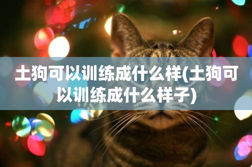 土狗可以訓練成什么樣(土狗可以訓練成什么樣子)