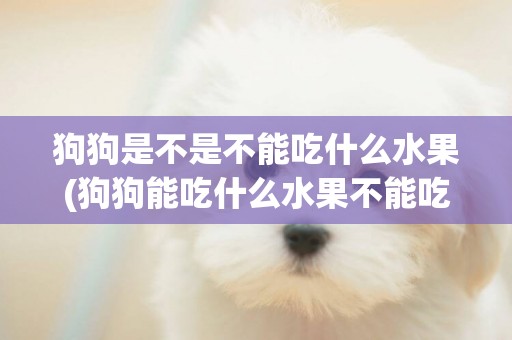 狗狗是不是不能吃什么水果(狗狗能吃什么水果不能吃什么水果?)