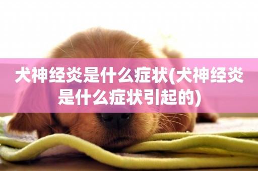 犬神經炎是什么癥狀(犬神經炎是什么癥狀引起的)