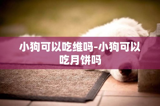 小狗可以吃維嗎-小狗可以吃月餅嗎