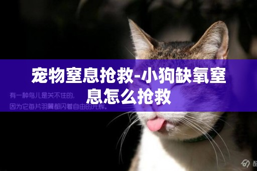 寵物窒息搶救-小狗缺氧窒息怎么搶救