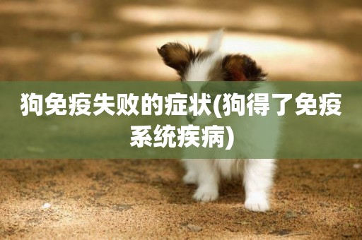 狗免疫失敗的癥狀(狗得了免疫系統疾病)