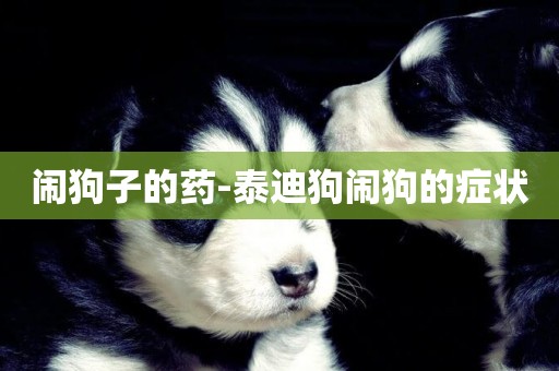 鬧狗子的藥-泰迪狗鬧狗的癥狀