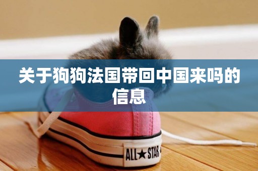 關于狗狗法國帶回中國來嗎的信息