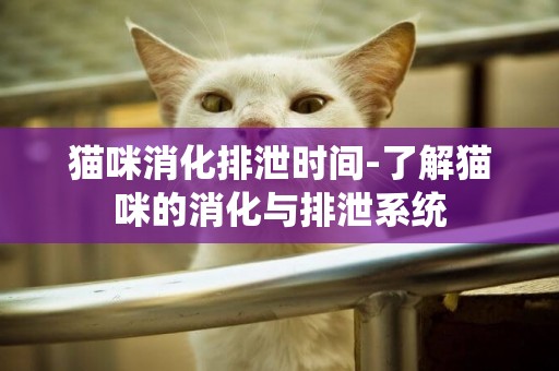 貓咪消化排泄時間-了解貓咪的消化與排泄系統