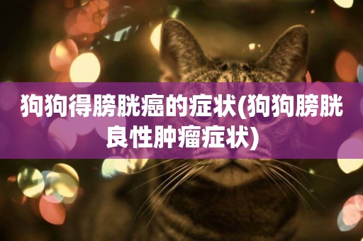 狗狗得膀胱癌的癥狀(狗狗膀胱良性腫瘤癥狀)
