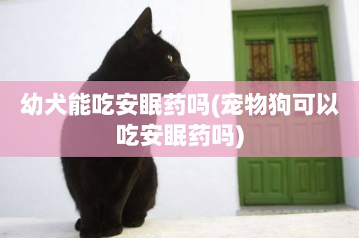 幼犬能吃安眠藥嗎(寵物狗可以吃安眠藥嗎)