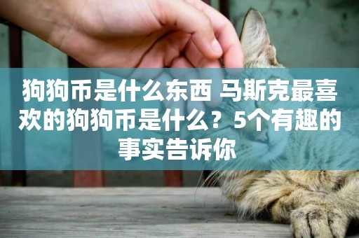 狗狗幣是什么東西 馬斯克最喜歡的狗狗幣是什么？5個有趣的事實告訴你 