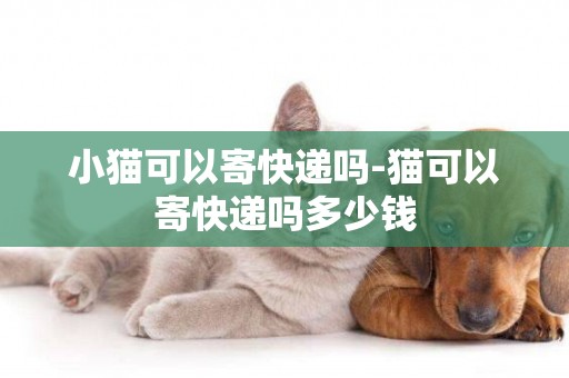 小貓可以寄快遞嗎-貓可以寄快遞嗎多少錢