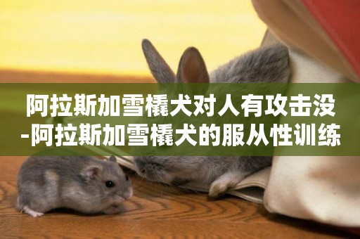 阿拉斯加雪橇犬對人有攻擊沒-阿拉斯加雪橇犬的服從性訓練