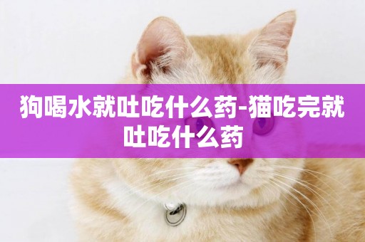 狗喝水就吐吃什么藥-貓吃完就吐吃什么藥