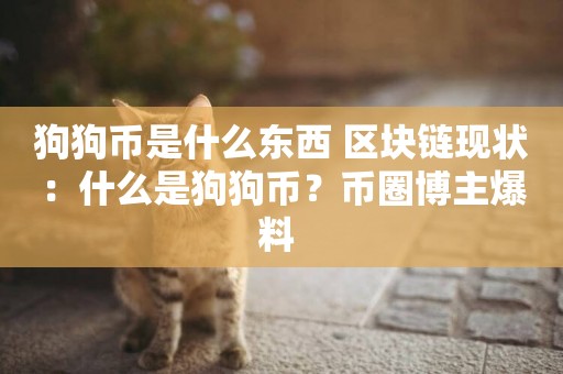 狗狗幣是什么東西 區塊鏈現狀：什么是狗狗幣？幣圈博主爆料 