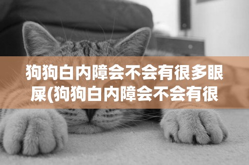 狗狗白內障會不會有很多眼屎(狗狗白內障會不會有很多眼屎流淚)