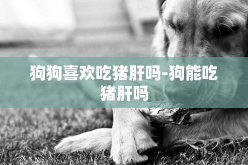 狗狗喜歡吃豬肝嗎-狗能吃豬肝嗎