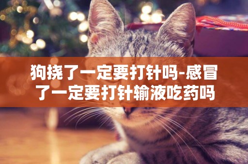 狗撓了一定要打針嗎-感冒了一定要打針輸液吃藥嗎