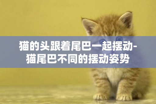 貓的頭跟著尾巴一起擺動-貓尾巴不同的擺動姿勢